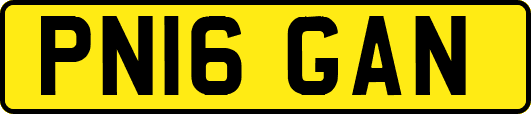 PN16GAN