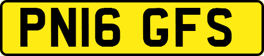 PN16GFS