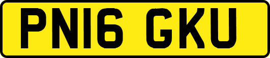PN16GKU
