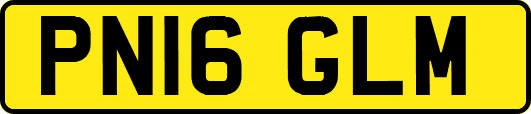 PN16GLM