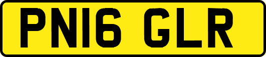 PN16GLR