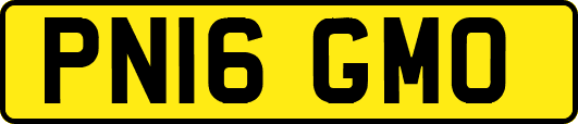 PN16GMO