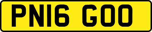 PN16GOO
