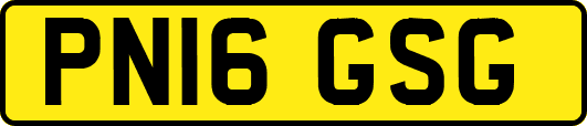 PN16GSG