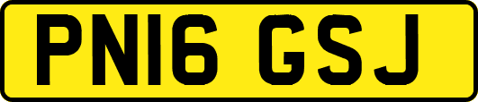 PN16GSJ