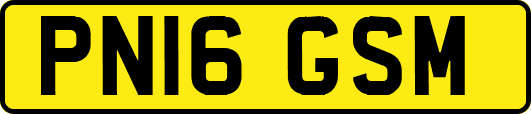 PN16GSM