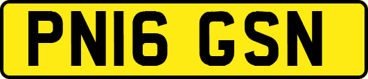PN16GSN