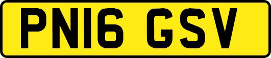 PN16GSV