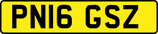 PN16GSZ
