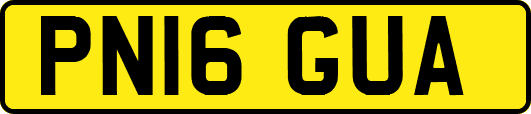 PN16GUA