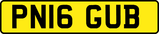 PN16GUB