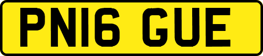 PN16GUE