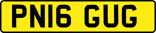 PN16GUG
