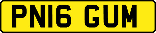 PN16GUM