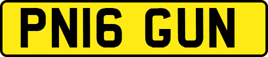 PN16GUN