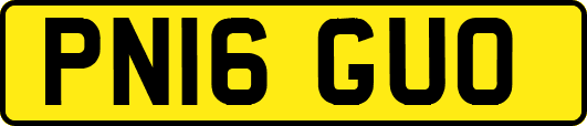 PN16GUO