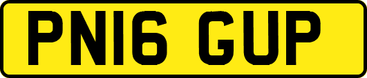 PN16GUP