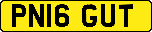 PN16GUT
