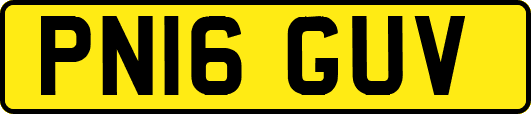PN16GUV