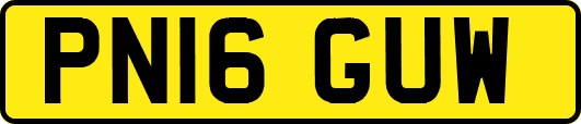 PN16GUW