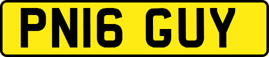 PN16GUY