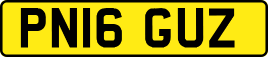 PN16GUZ