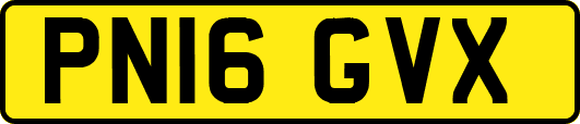 PN16GVX