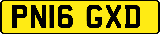 PN16GXD