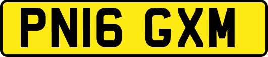 PN16GXM