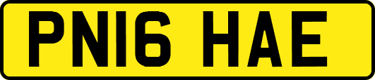 PN16HAE