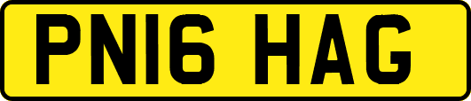 PN16HAG