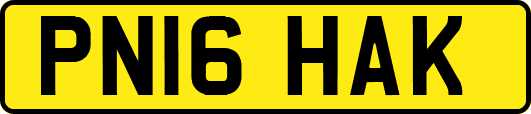 PN16HAK