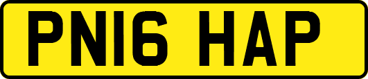 PN16HAP