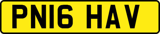 PN16HAV