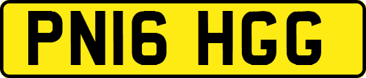 PN16HGG