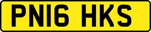 PN16HKS
