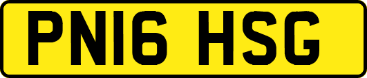 PN16HSG