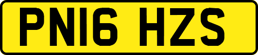PN16HZS