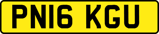 PN16KGU