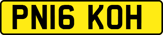 PN16KOH