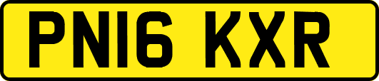 PN16KXR