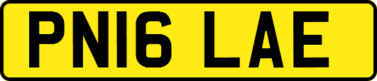 PN16LAE