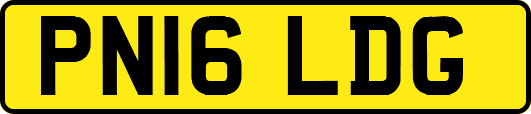 PN16LDG