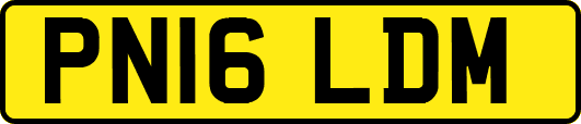PN16LDM