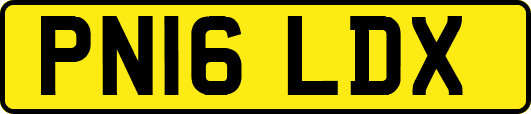 PN16LDX