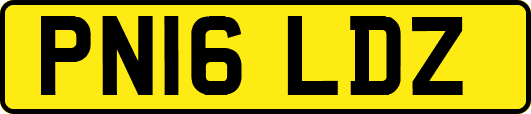 PN16LDZ