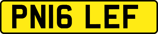 PN16LEF