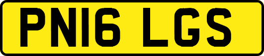 PN16LGS