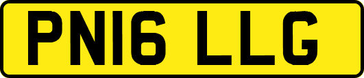 PN16LLG