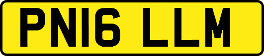 PN16LLM